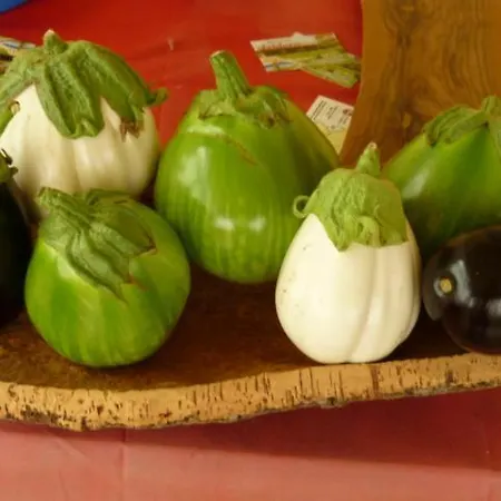 Farmház Isidoro Fertilia