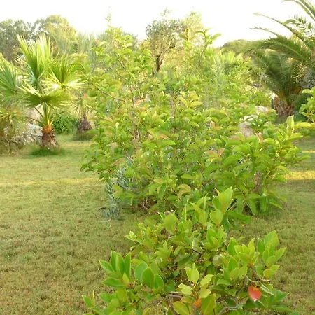 Agriturismo Isidoro * Fertilia