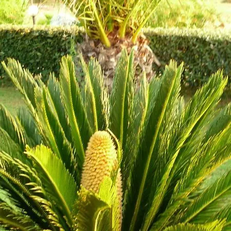 Agriturismo Isidoro Fertilia