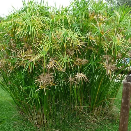 Isidoro Agroturismo Fertilia