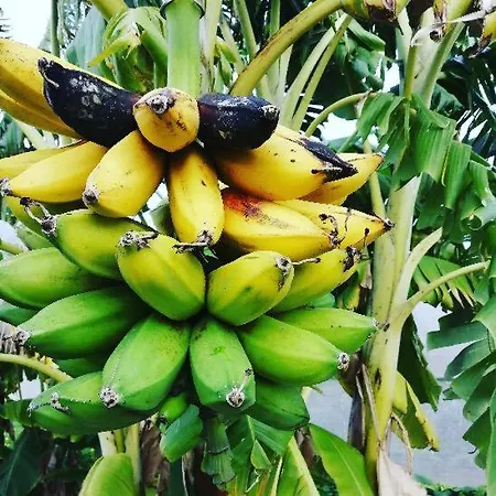 Isidoro ファームステイ