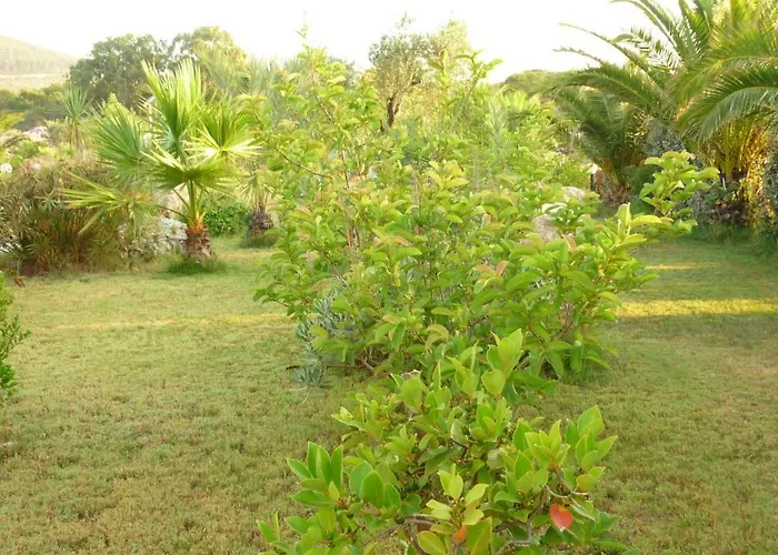 Isidoro * フェルティリア